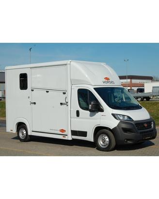 Van Trasporto Cavalli Pat B
