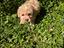 Immagine 10