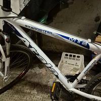 Bicicletta mtb