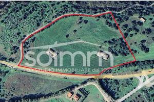 Azienda Agricola - Pula