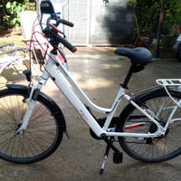Biciclette elettrica