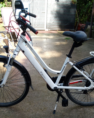 Biciclette elettrica