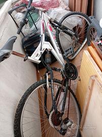 Bicicletta montembaic