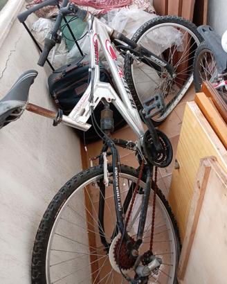 Bicicletta montembaic