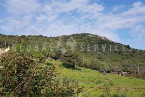 Terreno Agricolo a Arzachena