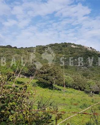 Terreno Agricolo a Arzachena