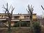 Immagine 16