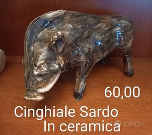 cinghiale Sardegna 