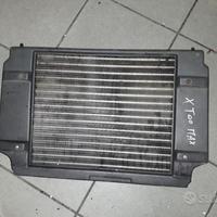 Ligier XToo Max : puleggia radiatore pompa faro