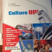 9788849420678 Culture up
