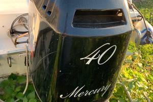 Ricambi Mercury 40 cv EFI 4 tempi