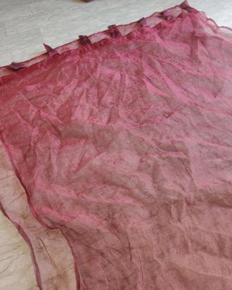 Tende ad anelli bordeaux velate 