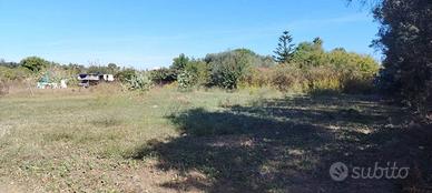 Elmas Località Ecca su Gureu