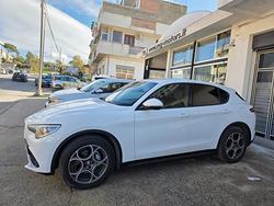 Alfa Romeo Stelvio 2.2D 190 CV AT8 Q4 GARANZIA 24 