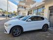 Alfa Romeo Stelvio 2.2D 190 CV AT8 Q4 GARANZIA 24 