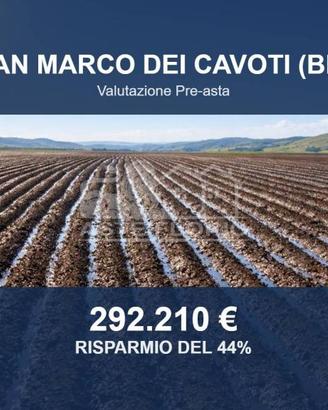Immobile in asta di 194041 m² a San Marco dei Cavo
