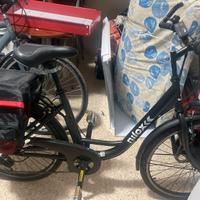 Bicicletta elettrica con carrello