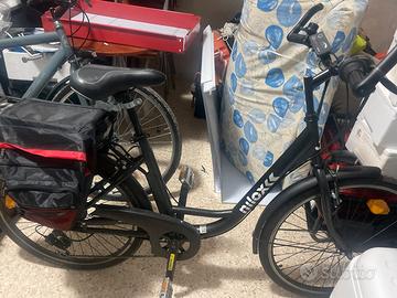 Bicicletta elettrica con carrello