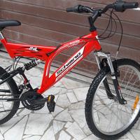 bici n.24 Marciante mountain bike ammortizzata 