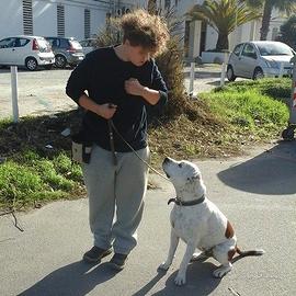 Educatore Cinofilo, dog walker e toelettatore