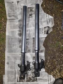 Forcelle Cagiva Raptor 650 ie