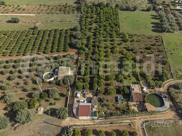 Terreno Residenziale Noto [Cod. rif 3270111VRG]