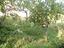 Immagine 28