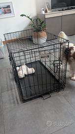 Gabbia Kennel