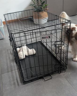Gabbia Kennel