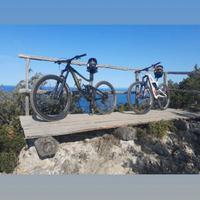 Mtb giant reign taglia 29 M