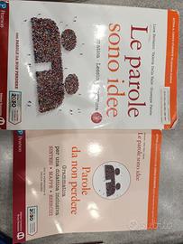 libro le parole sono idee grammatica lessico scrit