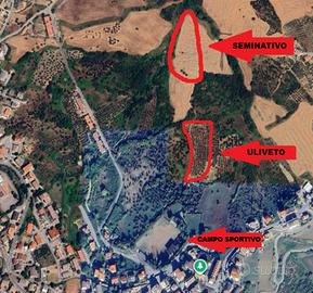 Terreno ad Atessa (uliveto + seminativo)