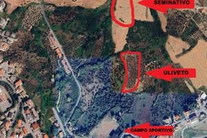 Terreno ad Atessa (uliveto + seminativo)