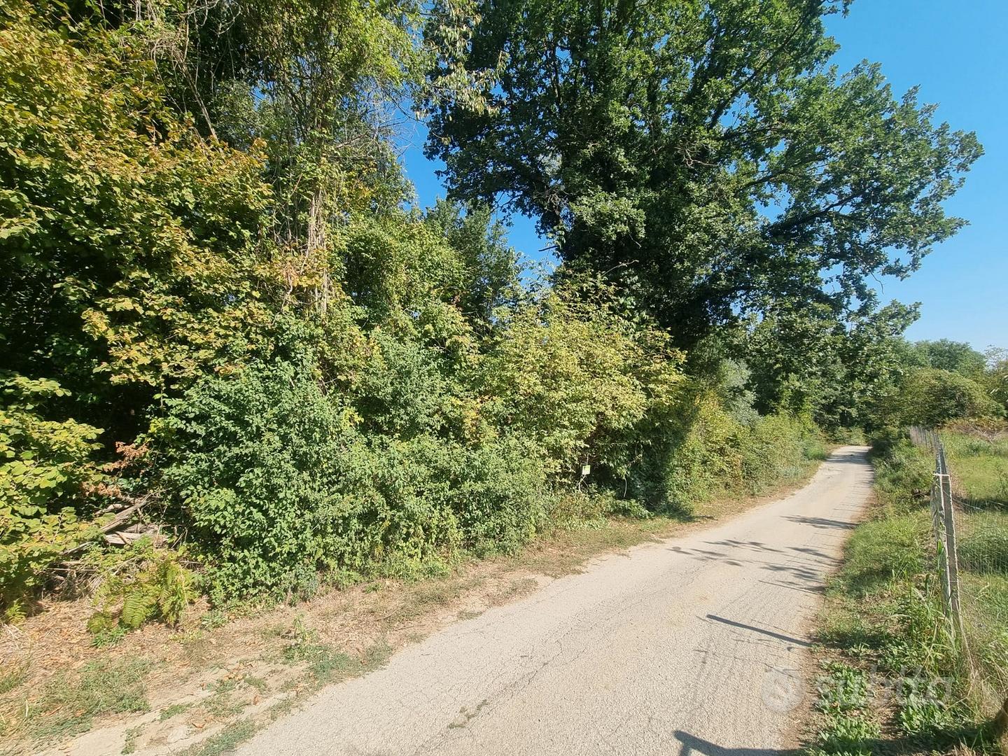Terreno agricolo di mq. 11.143 semi pianeggiante - Vista 2