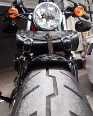 Harley Davidson forty eight  1200
