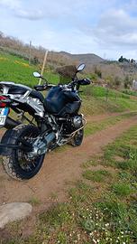 GS Bialbero 