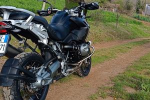 GS Bialbero 