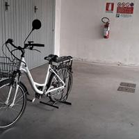 bici pedali assistita