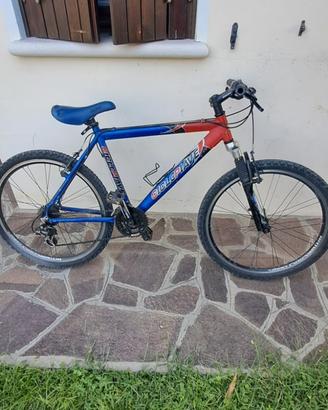 Bicicletta