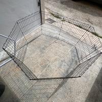 Recinto per cani