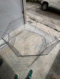Recinto per cani