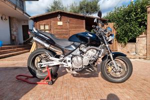 Honda Hornet 600 anno 1999