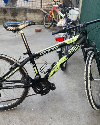 Mtb ragazzo 24”