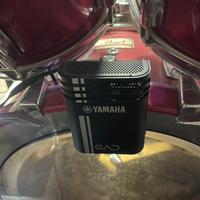 Yamaha EAD10