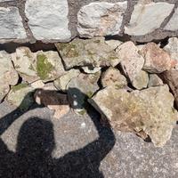 pietre ornamentali da giardino 