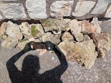 pietre ornamentali da giardino 