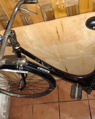 bici bacchetta legnano 
