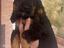 Immagine 6