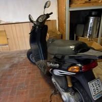Motorino scotter