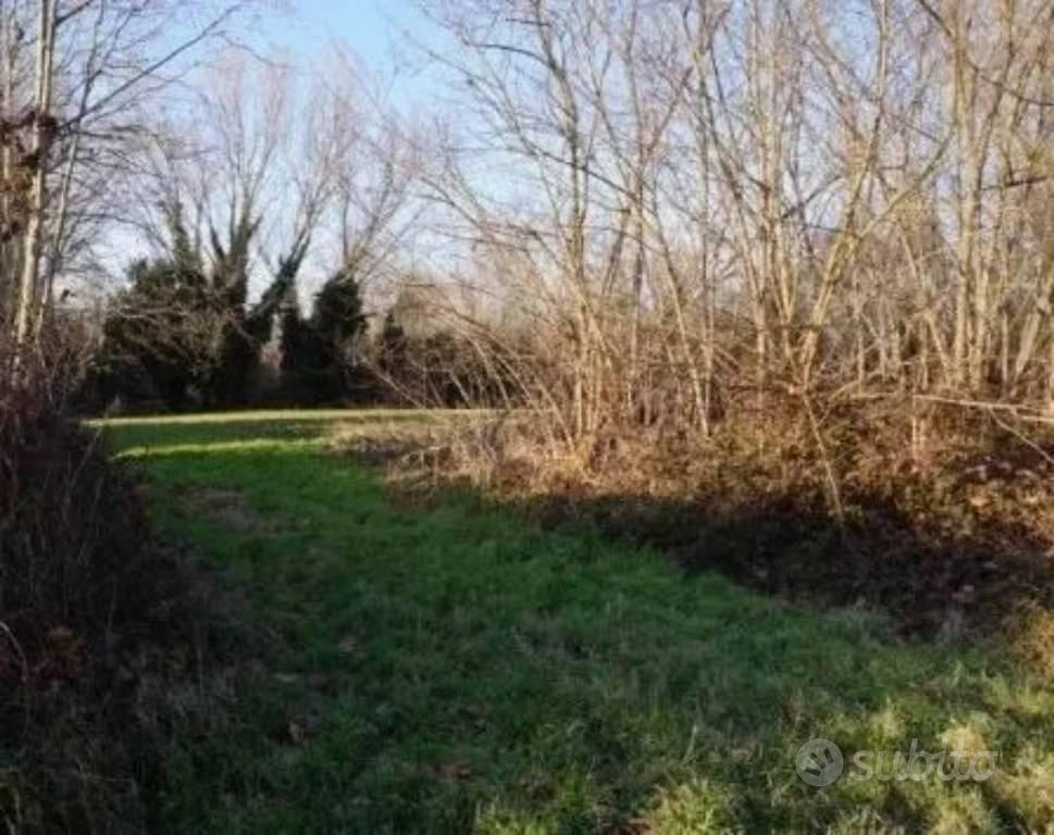 Immobile in asta di 58350 m² a Sermide e Felonica - Vista 4